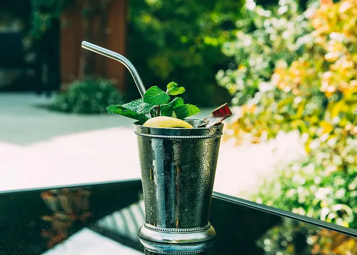 Francois Premier Centre 4*